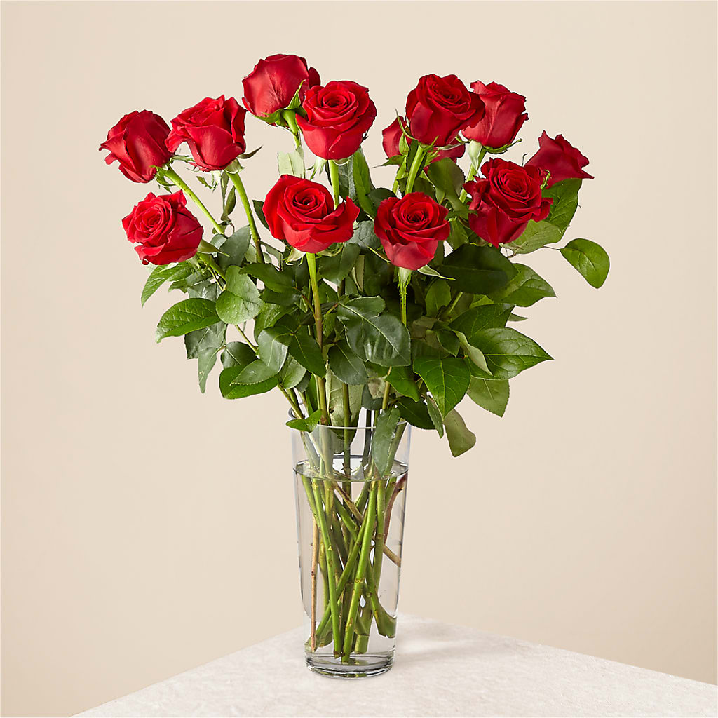 Long Stem Red Rose Bouquet – Blooming Flowers, Mobile AL