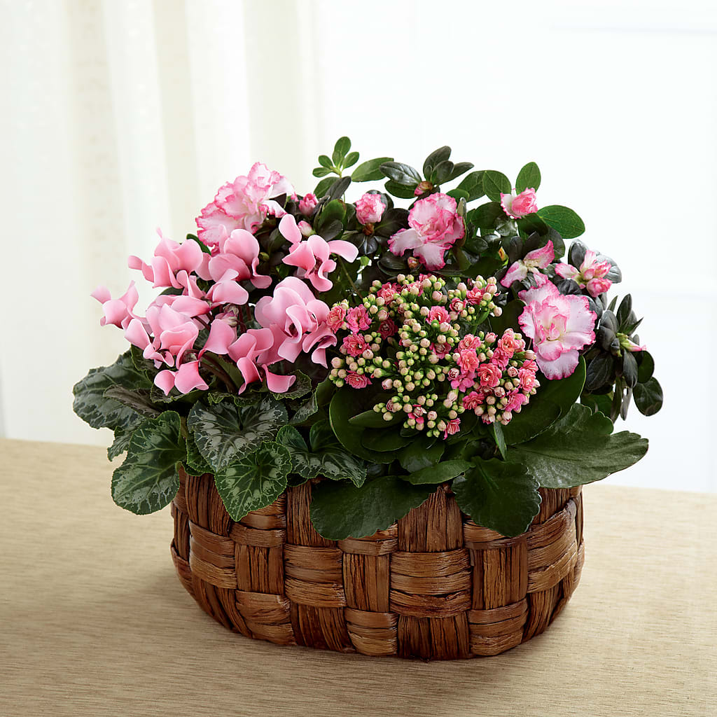 Pink Assortment – Blooming Flowers, Mobile AL