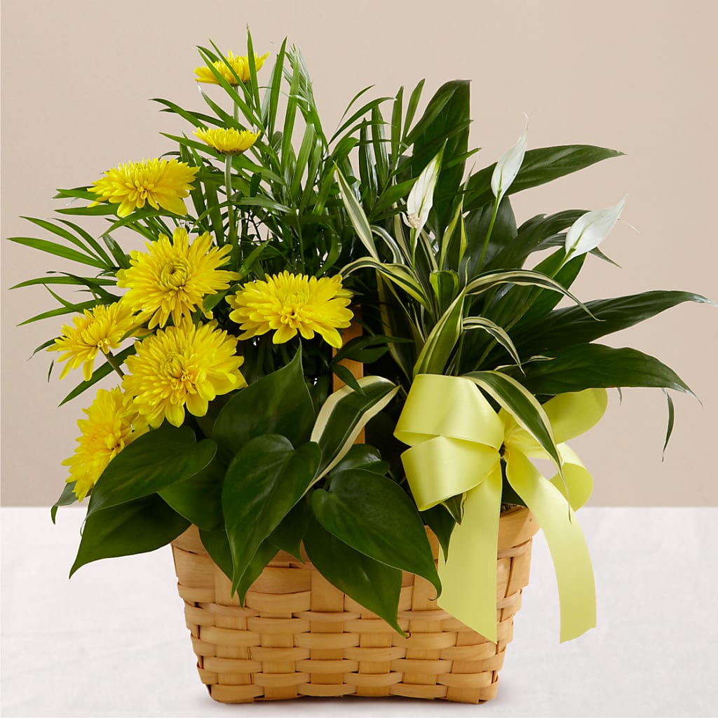 Loving Light Dishgarden – Blooming Flowers, Mobile AL
