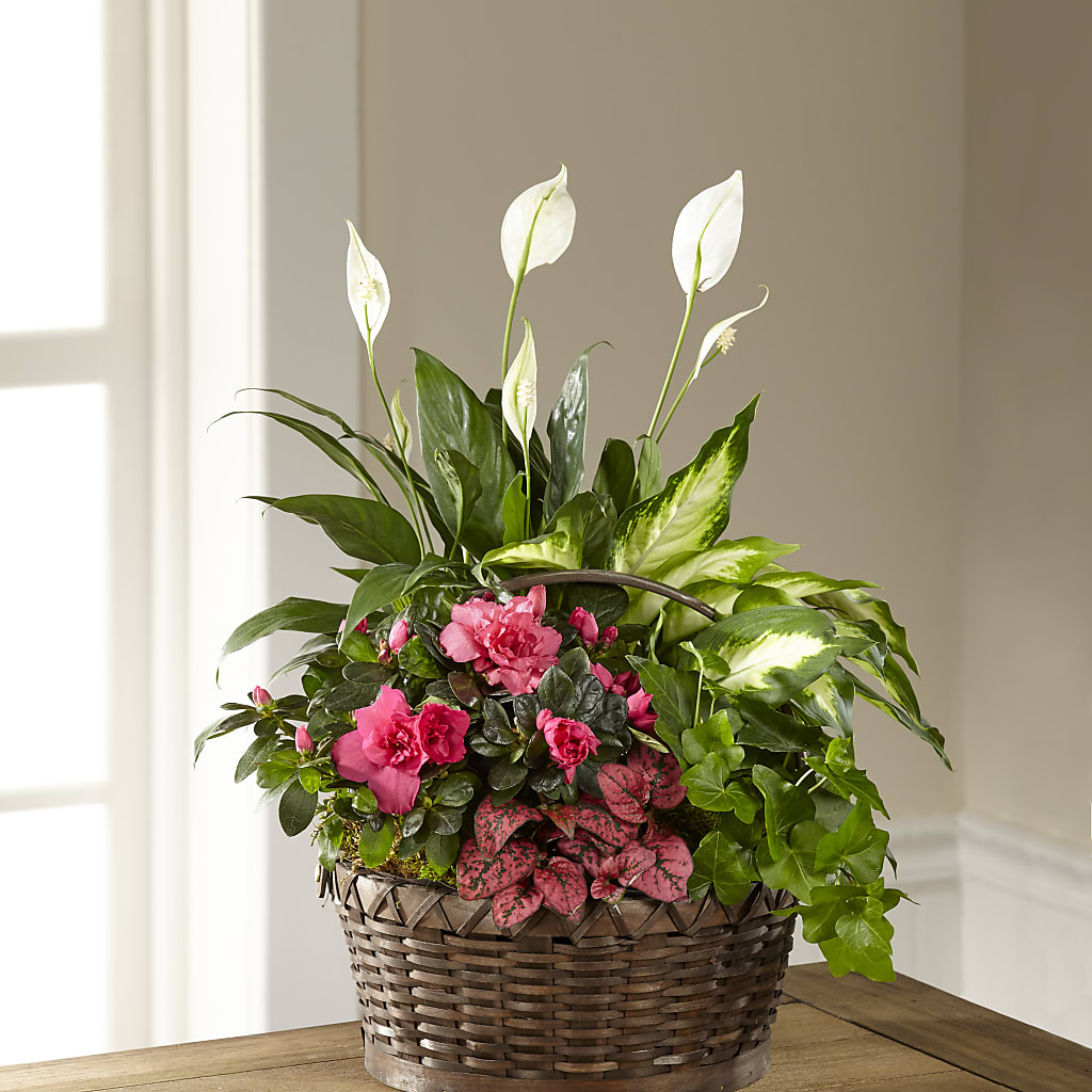 Dream in Pink Dishgarden – Blooming Flowers, Mobile AL