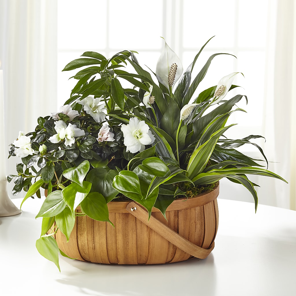 Serene Dishgarden – Blooming Flowers, Mobile AL