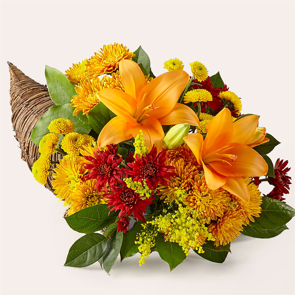 Feast of Color Cornucopia – Blooming Flowers, Mobile AL