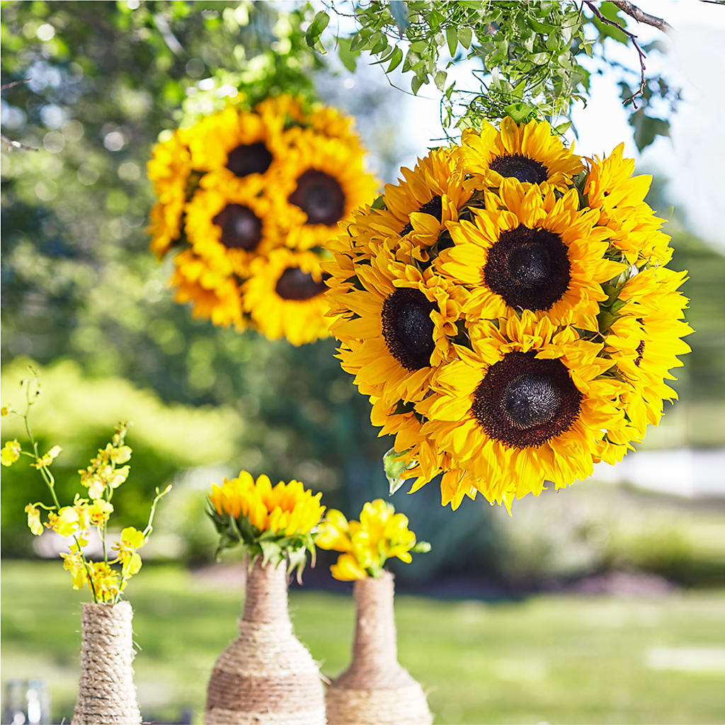 Sublime Garden Hanging Arrangement – Blooming Flowers, Mobile AL