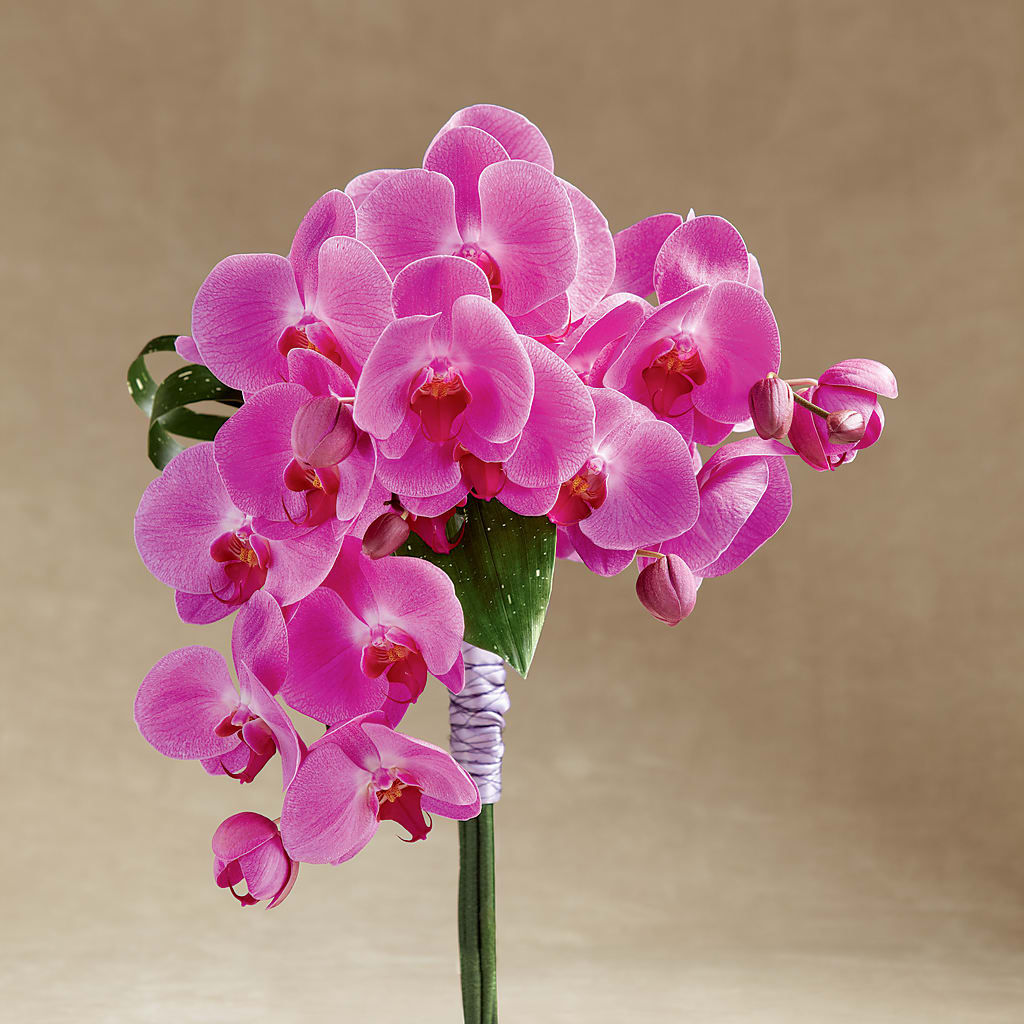 Glorious Bouquet – Blooming Flowers, Mobile AL