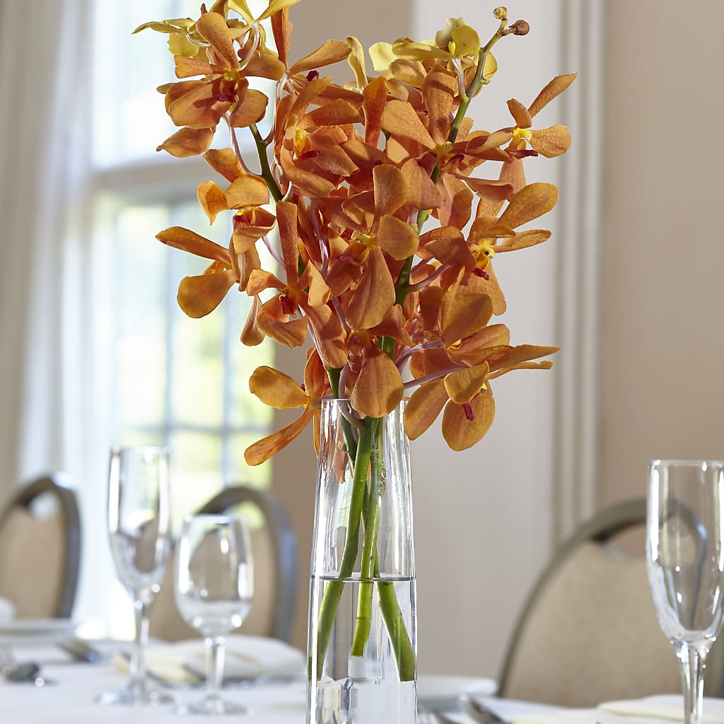Orange Mokara Bud Vase – Blooming Flowers, Mobile AL