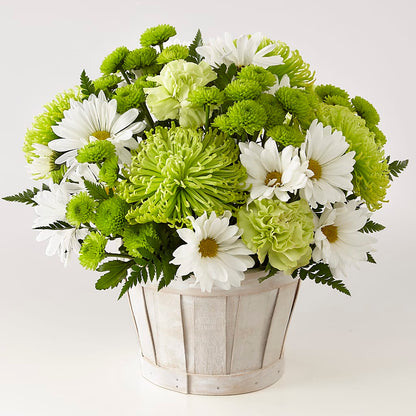 Lucky Charm Basket (Standard) –  Blooming Flowers, Mobile AL