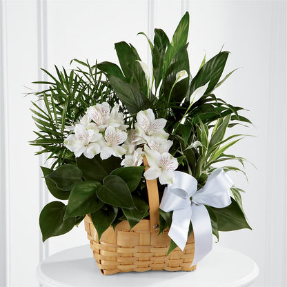 Peace & Serenity Dishgarden –  Blooming Flowers, Mobile AL