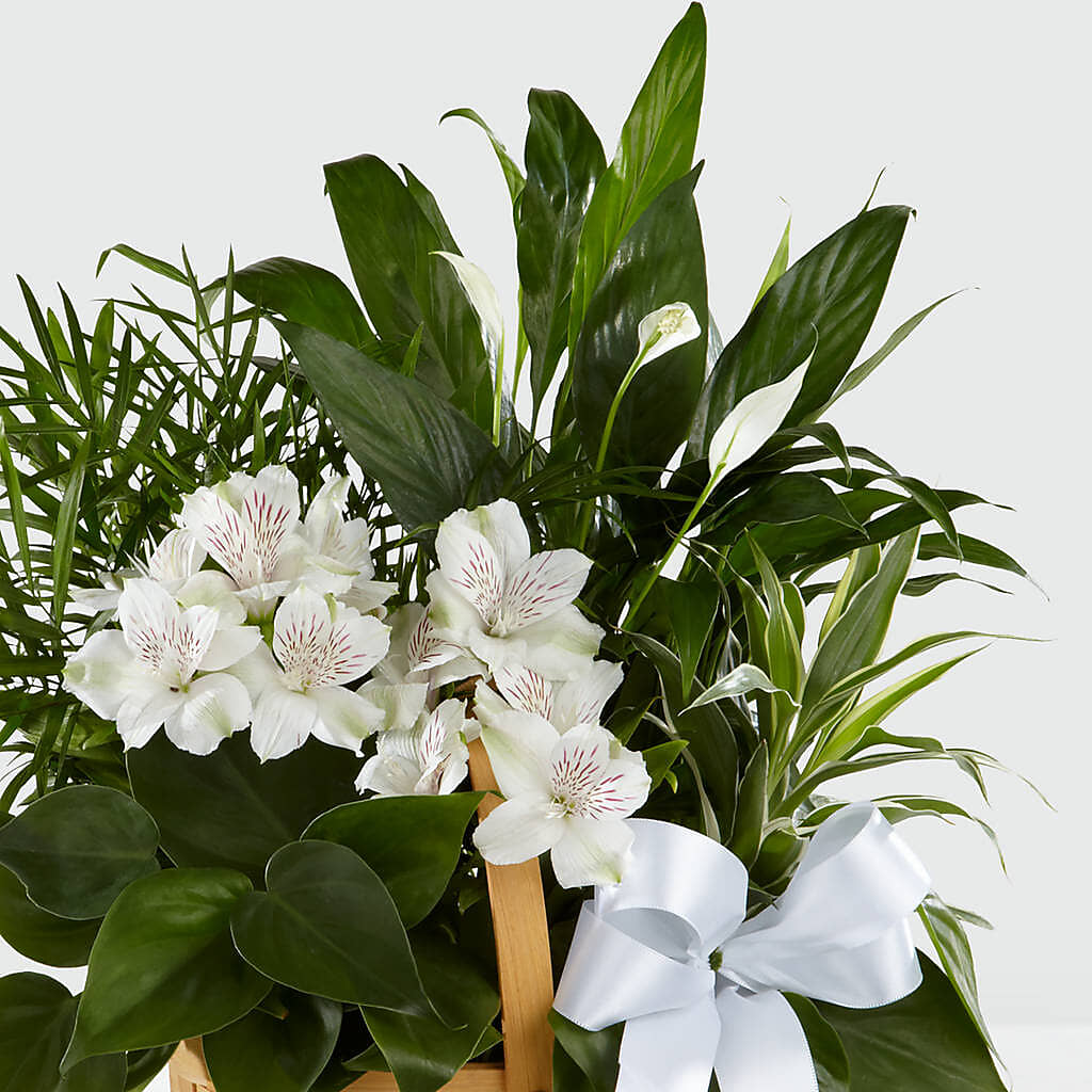 Peace & Serenity Dishgarden –  Blooming Flowers, Mobile AL