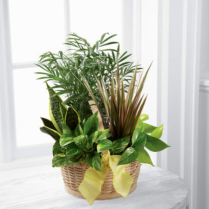 French Garden –  Blooming Flowers, Mobile AL