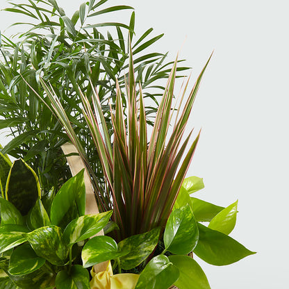 French Garden –  Blooming Flowers, Mobile AL