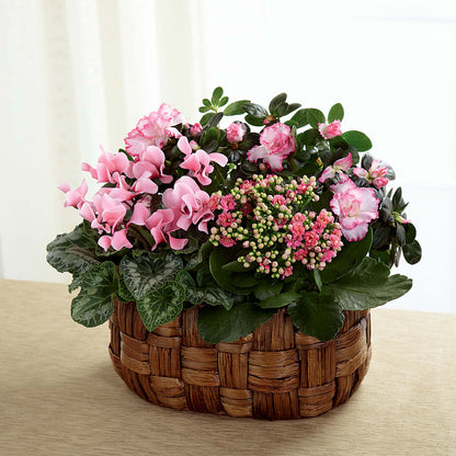 Pink Assortment –  Blooming Flowers, Mobile AL
