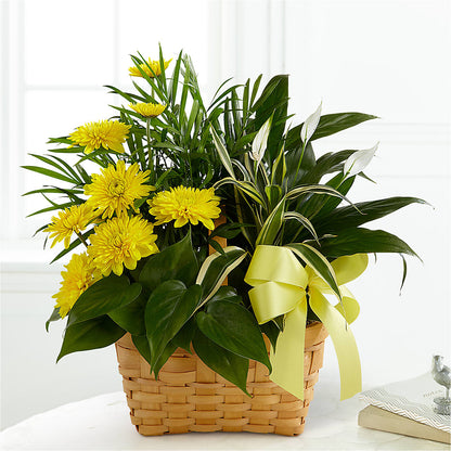 Loving Light Dishgarden –  Blooming Flowers, Mobile AL