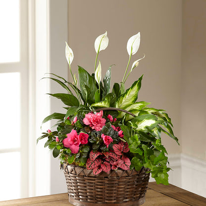 Dream in Pink Dishgarden –  Blooming Flowers, Mobile AL