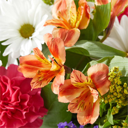 Oopsie Daisy Box Bouquet –  Blooming Flowers, Mobile AL