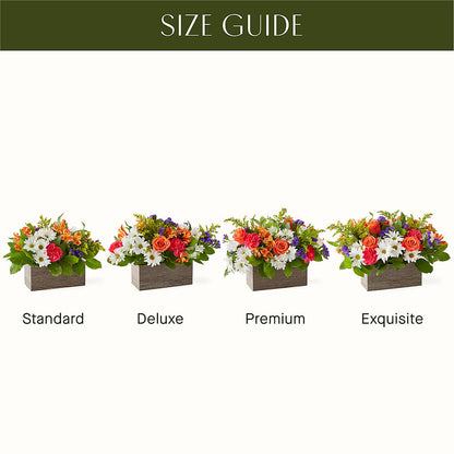 Oopsie Daisy Box Bouquet –  Blooming Flowers, Mobile AL
