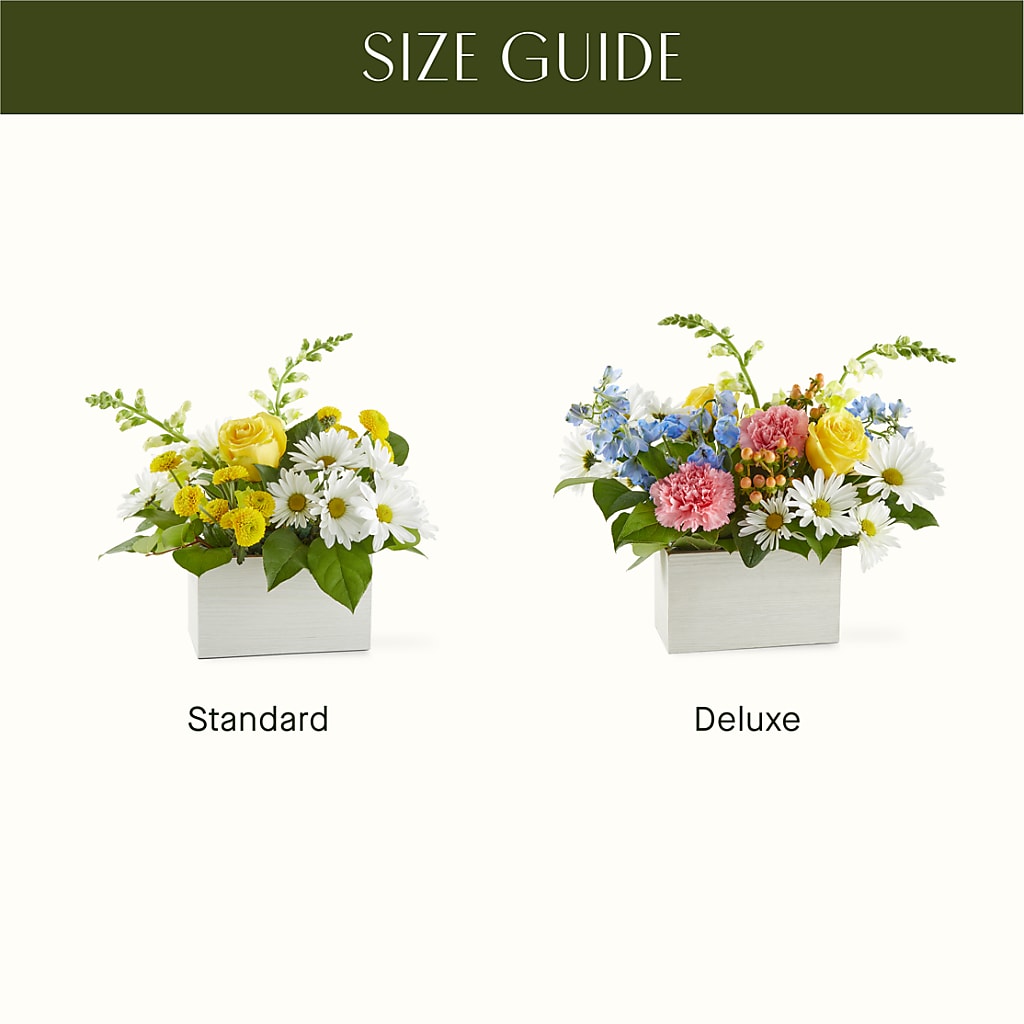 Sun Salutation Box Bouquet –  Blooming Flowers, Mobile AL