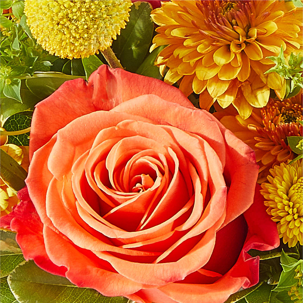 Gourdgeous Pumpkin –  Blooming Flowers, Mobile AL