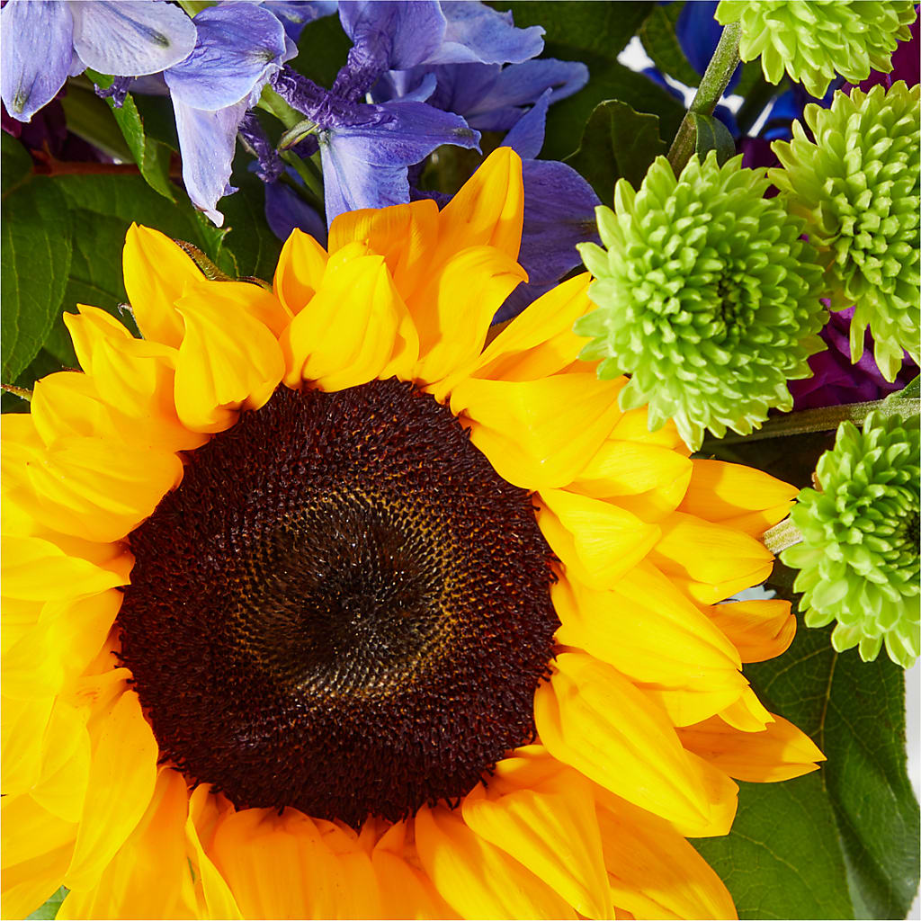 Catching Rays Bouquet –  Blooming Flowers, Mobile AL