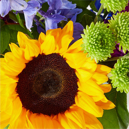 Catching Rays Bouquet –  Blooming Flowers, Mobile AL