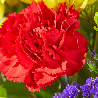 Brighter Days Bouquet –  Blooming Flowers, Mobile AL