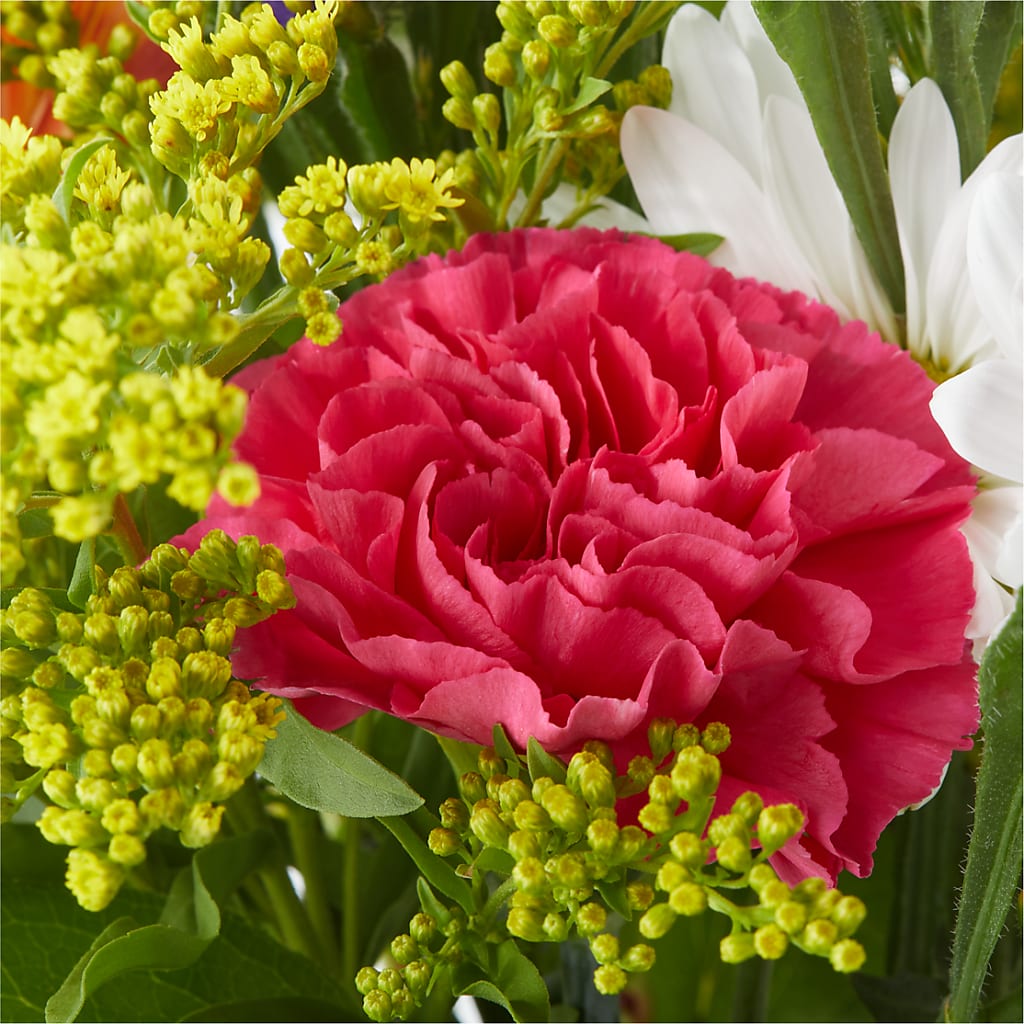 Oopsie Daisy Bouquet –  Blooming Flowers, Mobile AL