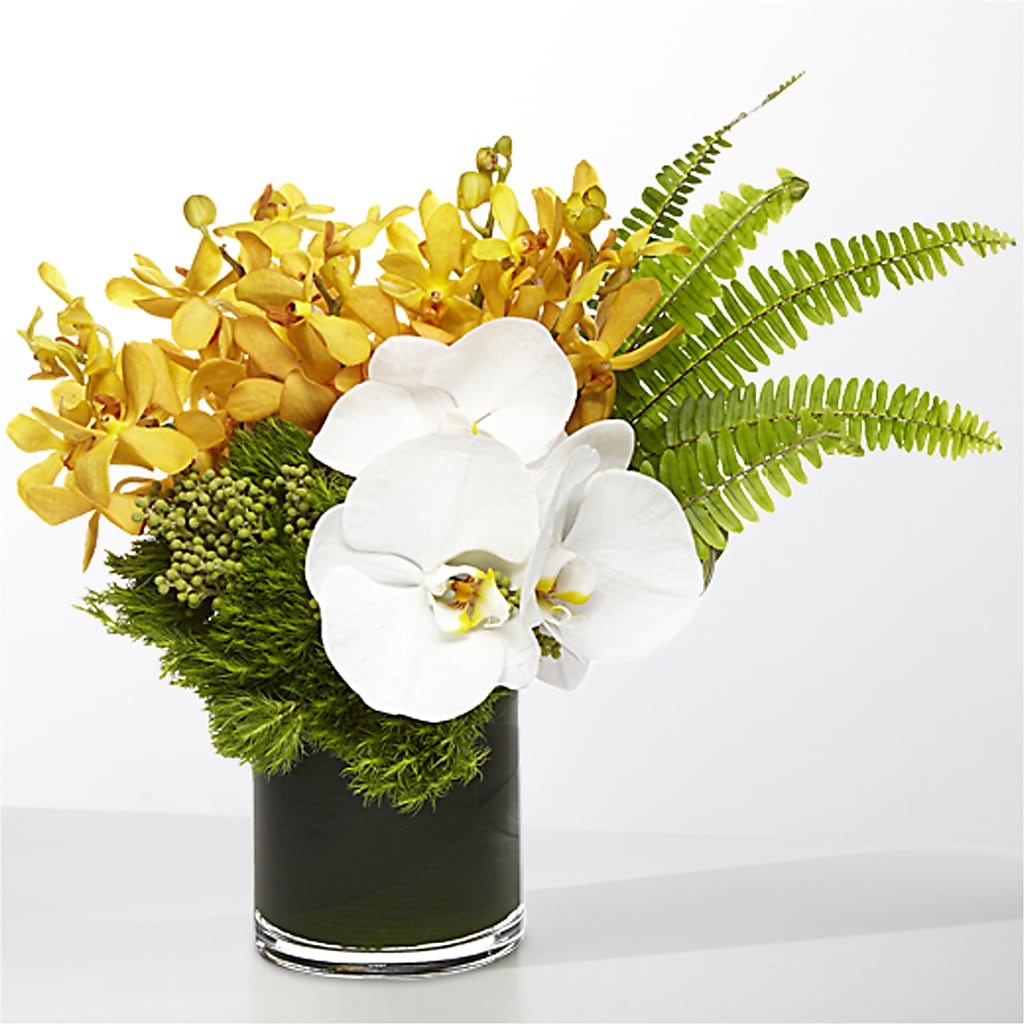 The Tropics –  Blooming Flowers, Mobile AL