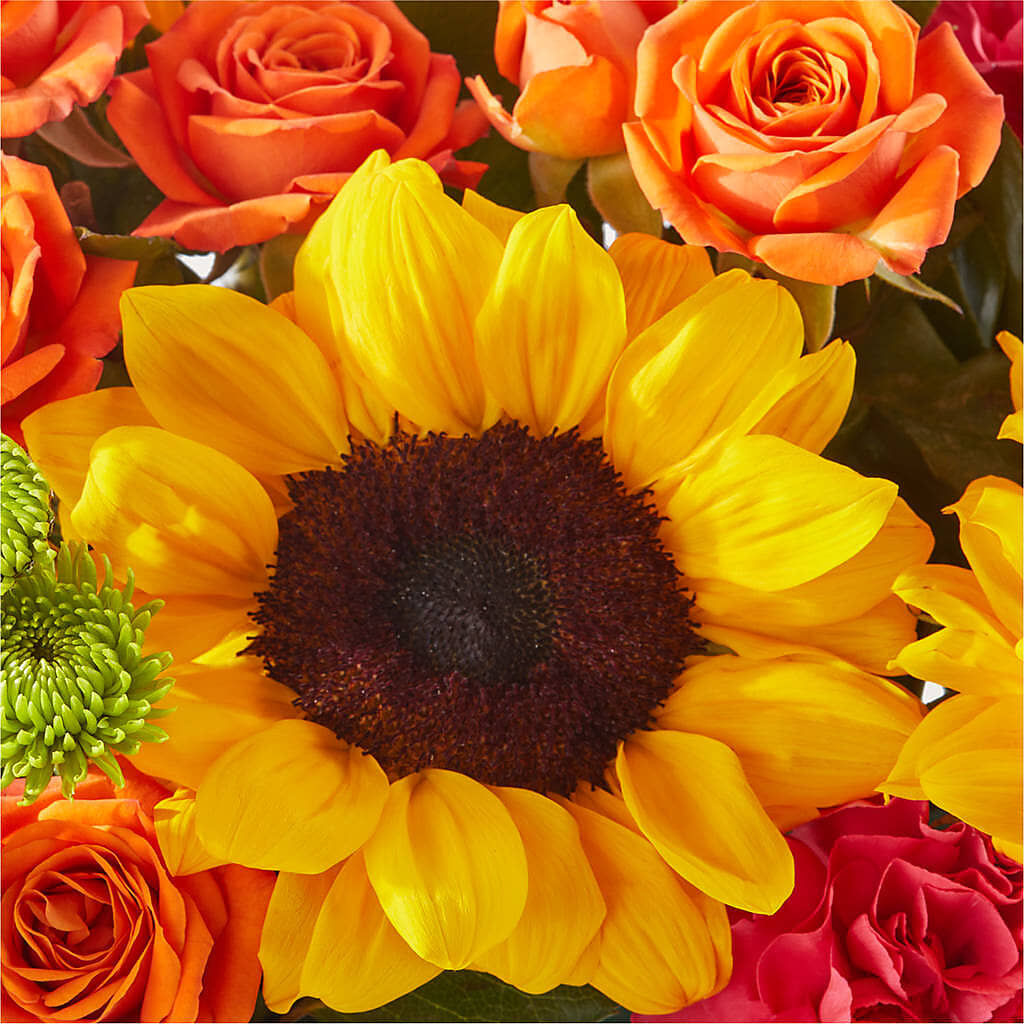 Sun-drenched Blooms Box Bouquet –  Blooming Flowers, Mobile AL