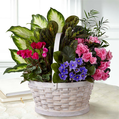 Peaceful Garden Planter –  Blooming Flowers, Mobile AL