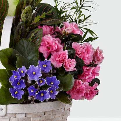 Peaceful Garden Planter –  Blooming Flowers, Mobile AL
