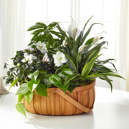 Serene Dishgarden –  Blooming Flowers, Mobile AL