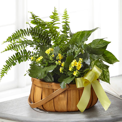 Always Dear Dishgarden –  Blooming Flowers, Mobile AL