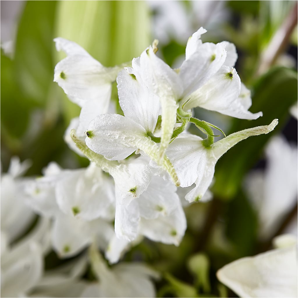 Classic Ivory – A Florist Original –  Blooming Flowers, Mobile AL