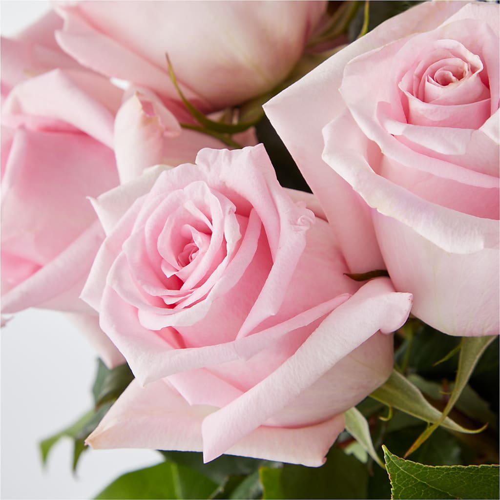 Picture Perfect Pink Rose Bouquet –  Blooming Flowers, Mobile AL