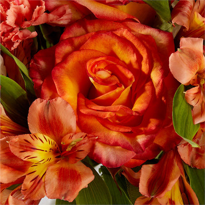 Apricot Glow Bouquet –  Blooming Flowers, Mobile AL