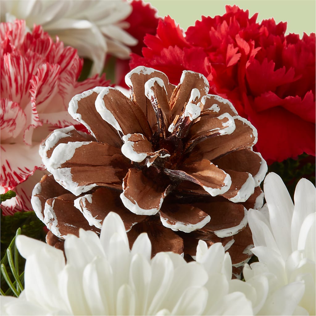 Candy Cane Lane Bouquet –  Blooming Flowers, Mobile AL