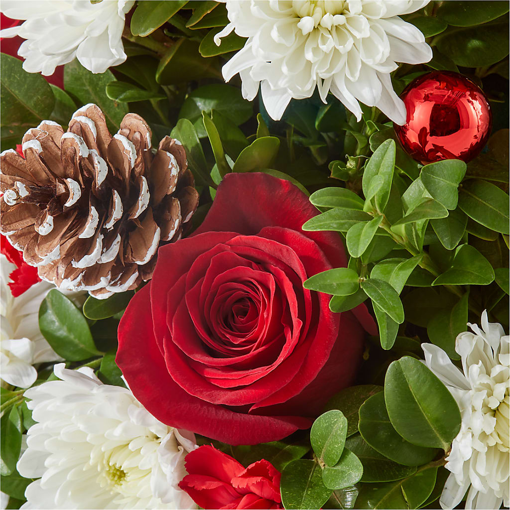 Let It Snow Tree –  Blooming Flowers, Mobile AL