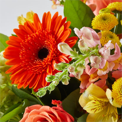 Autumn Sunshine Bouquet –  Blooming Flowers, Mobile AL