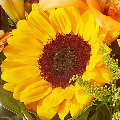 Seasons Change Bouquet –  Blooming Flowers, Mobile AL