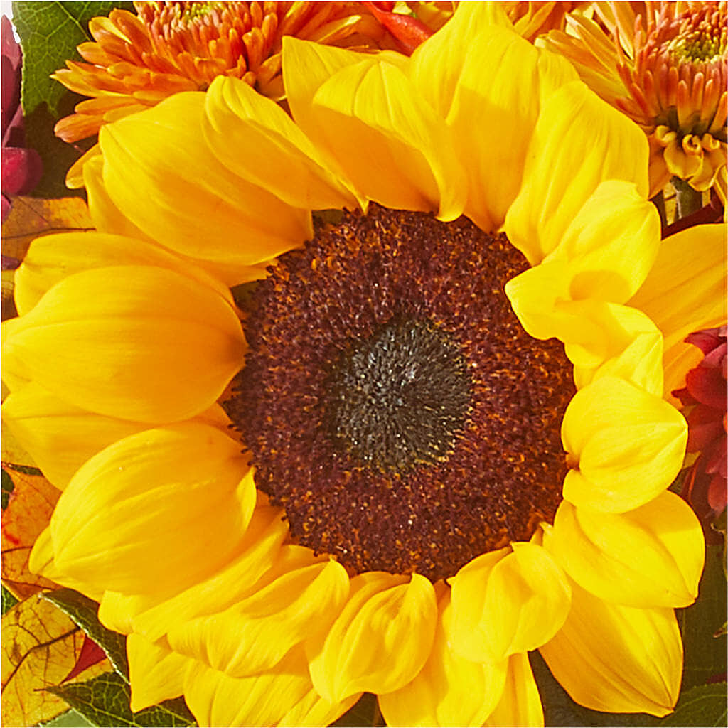 Sunny Side Bouquet –  Blooming Flowers, Mobile AL