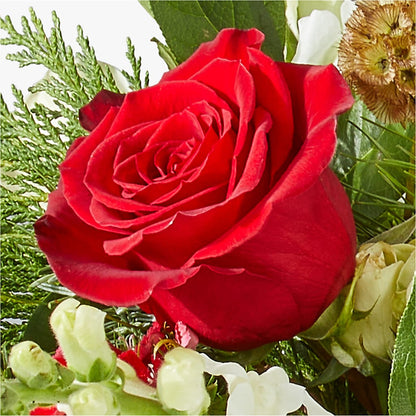 Deck the Halls Bouquet –  Blooming Flowers, Mobile AL