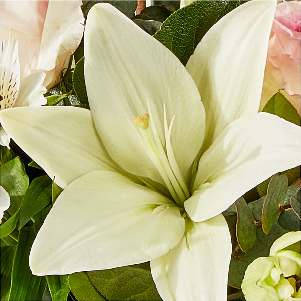 Ballet Slippers Bouquet –  Blooming Flowers, Mobile AL