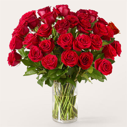 The One Red Rose Bouquet –  Blooming Flowers, Mobile AL